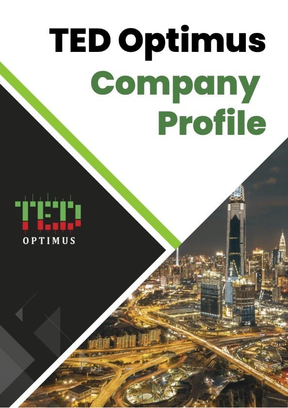 The Trade Wizard (TTW) Company Profile